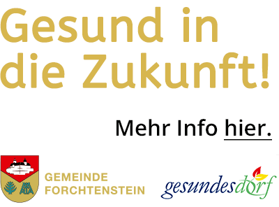 Gesundes Dorf Forchtenstein 2017-2018