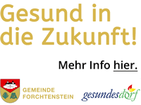 Banner für Gesundes Dorf Forchtenstein-2017-2018